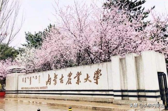 择校必看丨金色的憧憬,绿色的希望——内蒙古农业大学