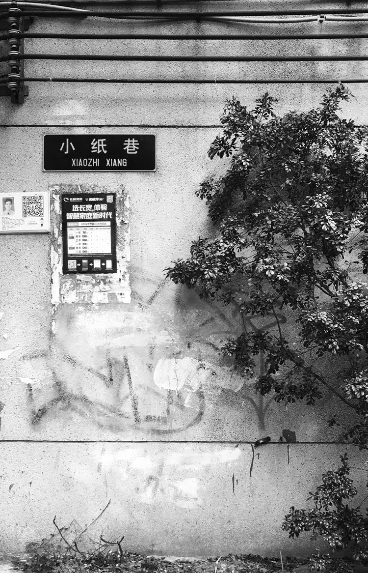 胭脂红原创设计,胭脂室内设计