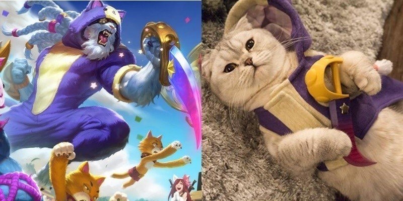 lol愚人节皮肤柯基,英雄联盟柯基皮肤