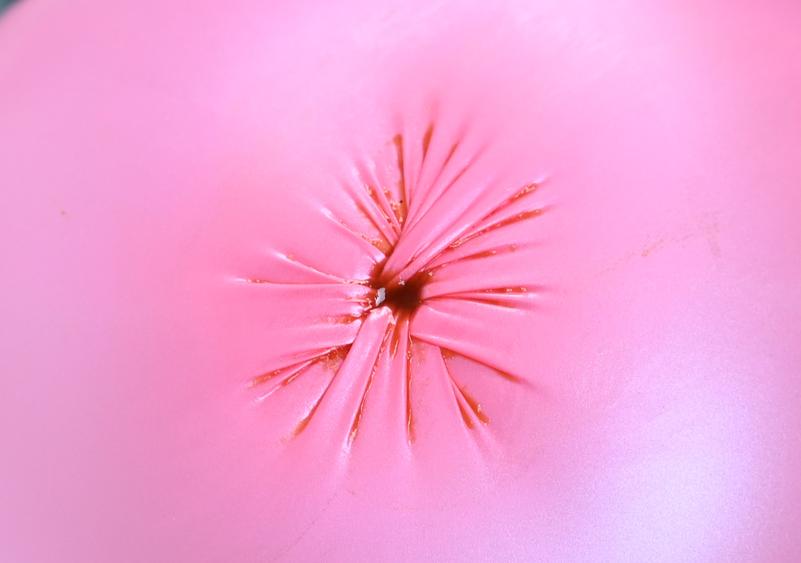 保卫菊花，从马桶做起——水鹿大鲸一体自动马桶使用感受