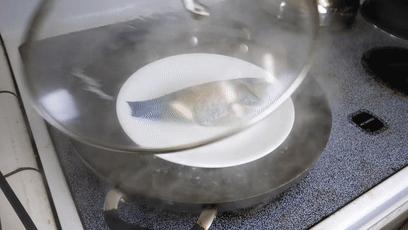 日本发现怪鱼,日本渔民岸边发现什么怪鱼了