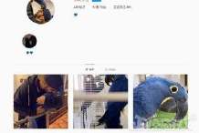 石头创业,石头创业项目