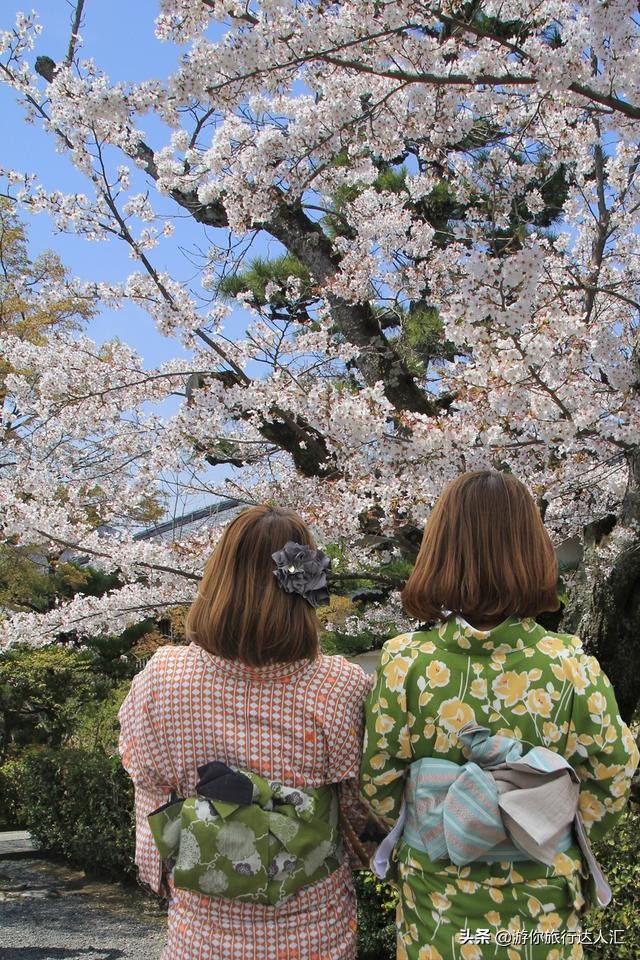 待到山花烂漫时完整版,待到樱花烂漫时的视频