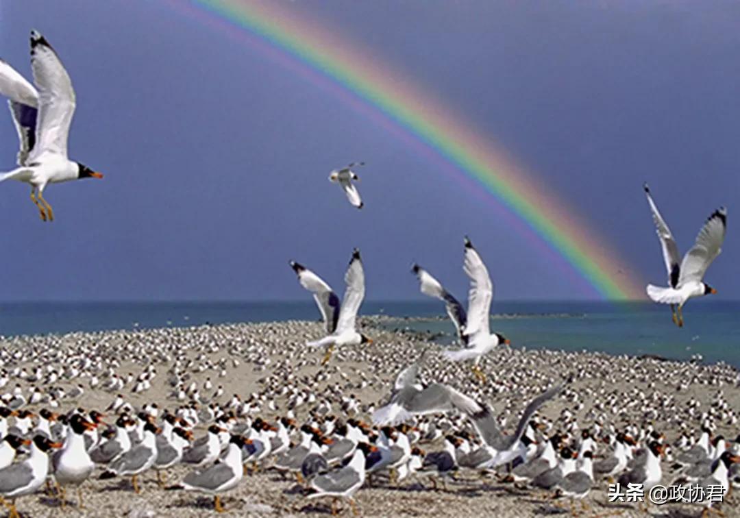 这位老*党**员镜头下的青海，美出天际