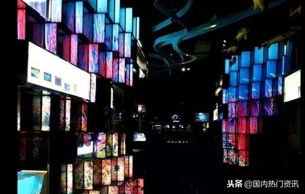 上海自驾游免费景点,2021上海亲子游必去的14个景点