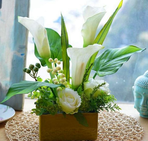 马蹄莲的种殖方法和注意事项,马蹄莲怎么催芽开花