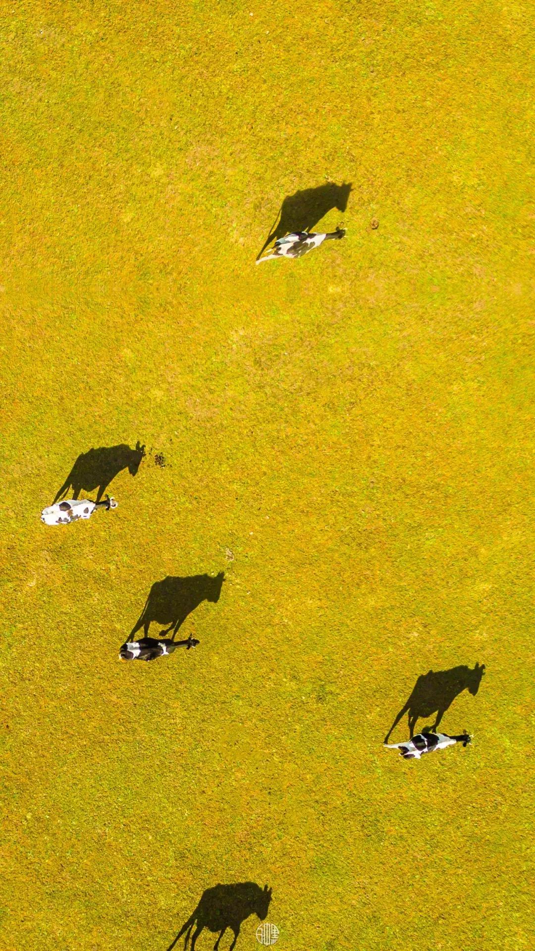 消失一年，中国航拍第一人回归！36张祖国山河美哭无数网友，再次惊艳了世界...