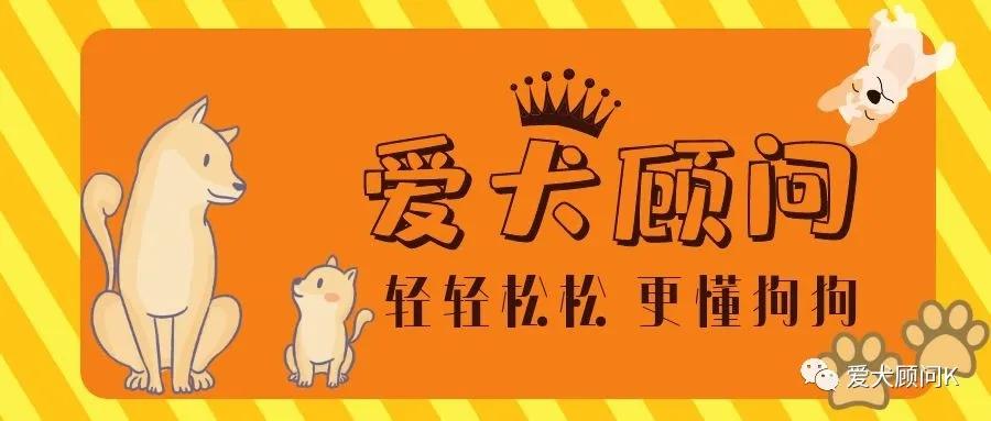 怎样对付狗不听话,怎样对付狗叫扰民