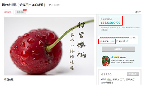 一坛浑水的众筹，谁来管一管？