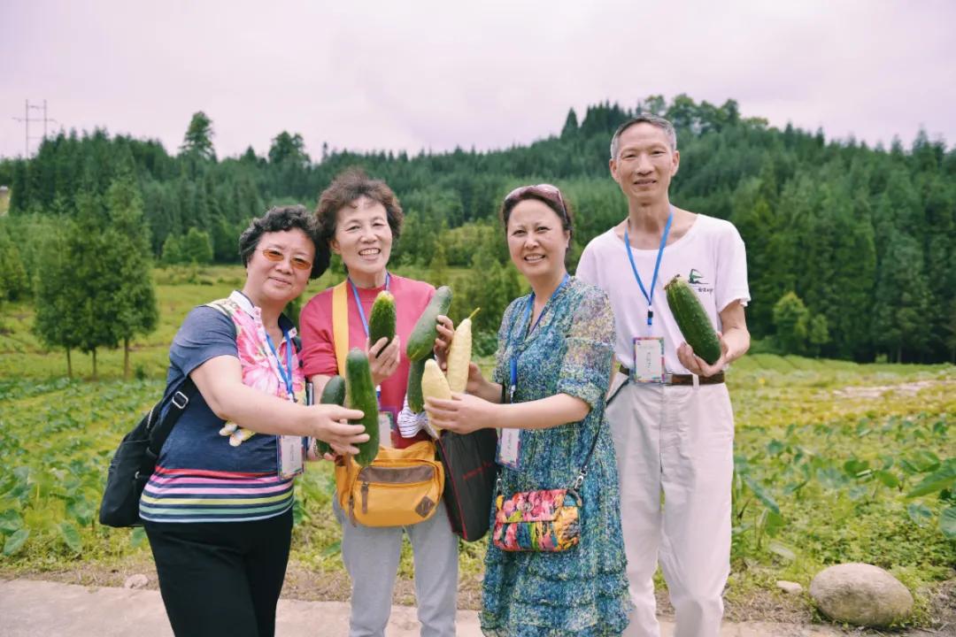 生活与态度,生活态度与健康