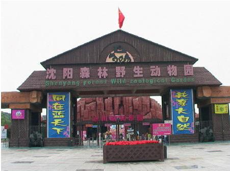 沈阳国家森林公园的动物园,沈阳森林动物园风景