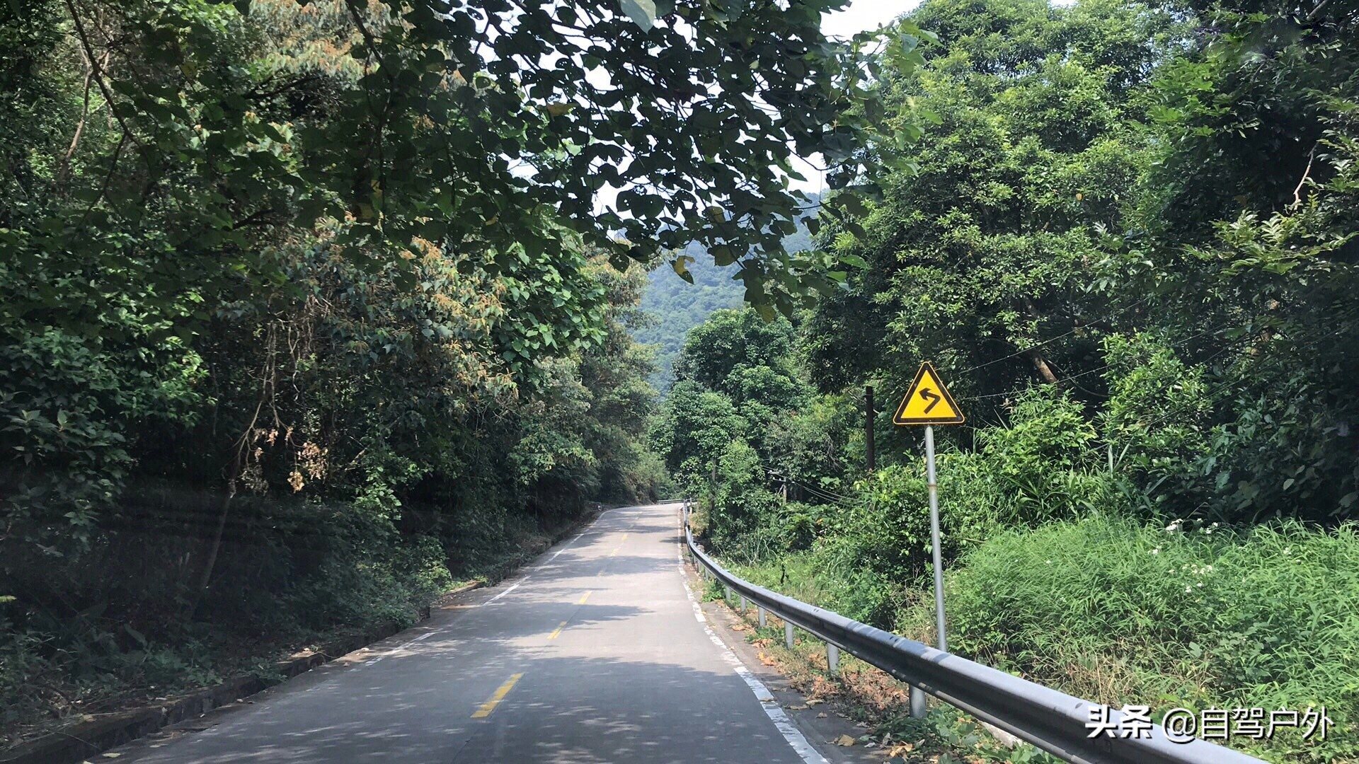 罗浮山脚下小溪露营地推荐,罗浮山休闲竹林露营攻略