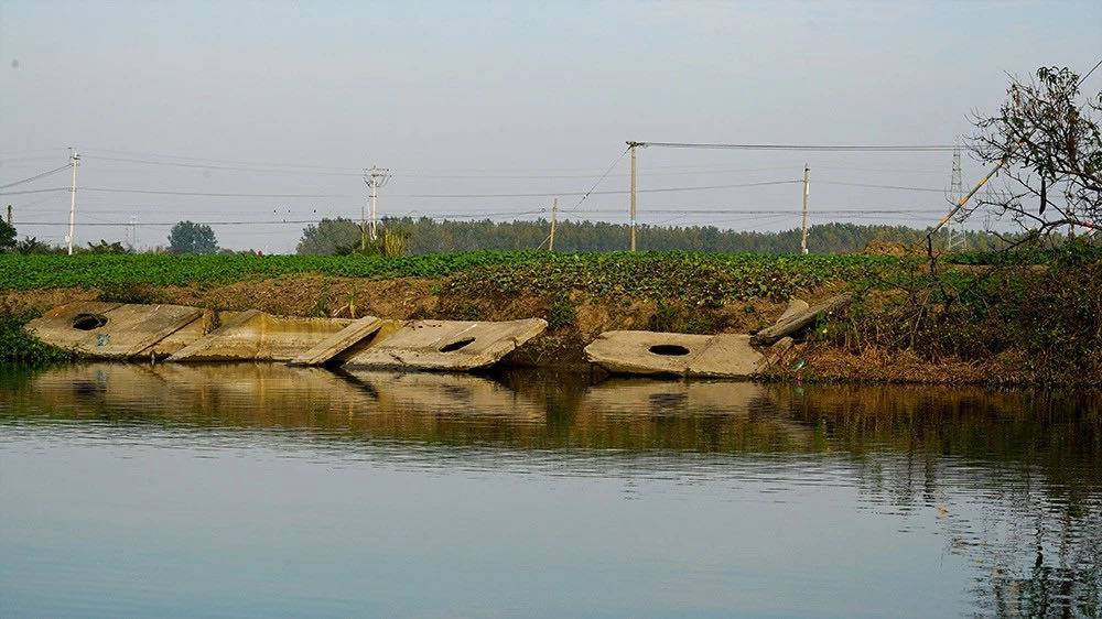 蓝旗鱼振动波路亚翘嘴,振动亮片钓翘嘴