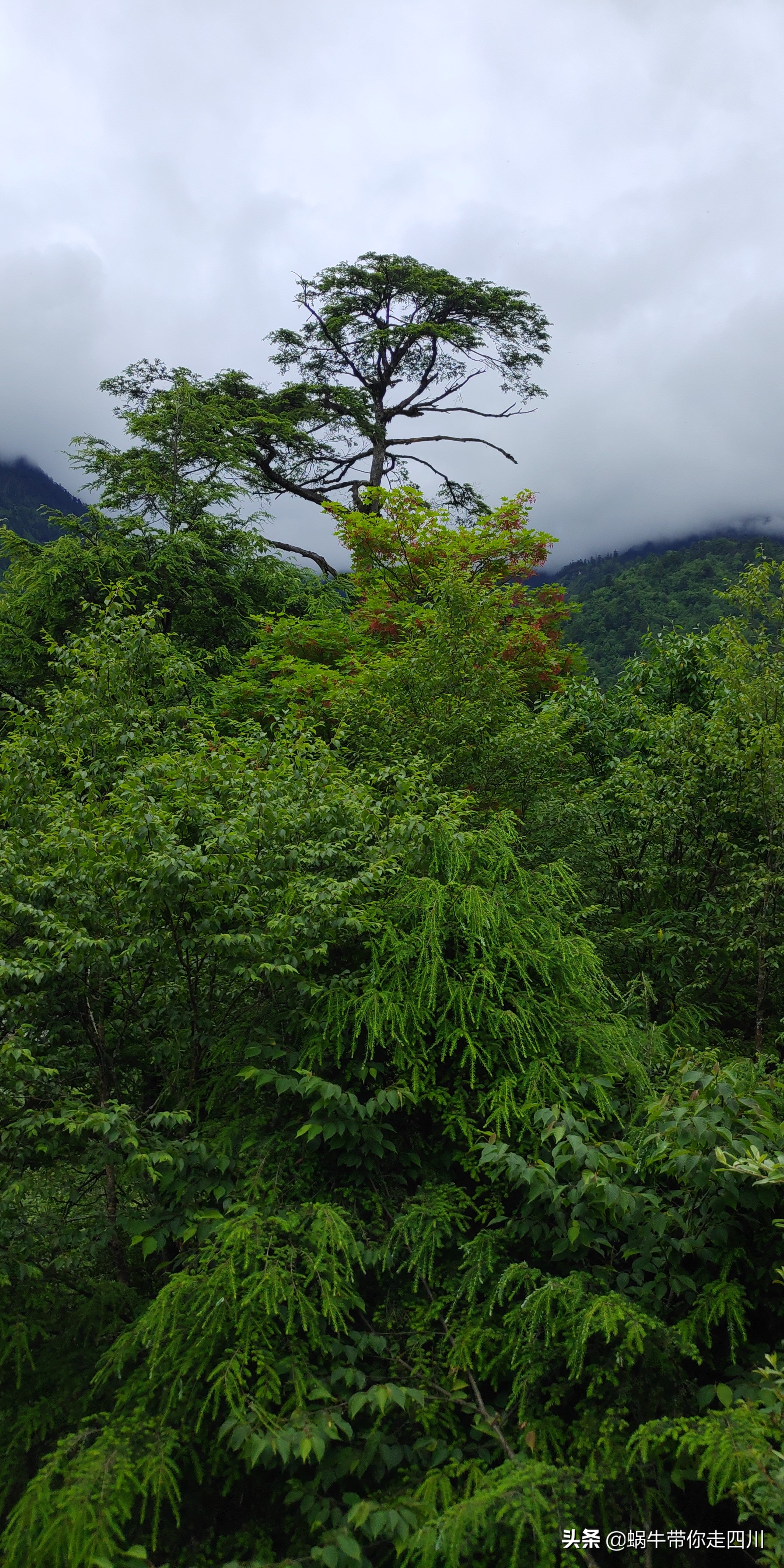 带小朋友出去看小动物,带小孩去海洋动物园