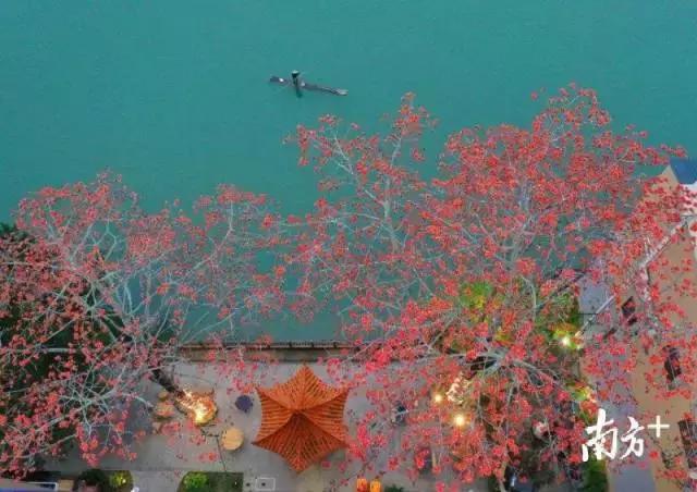 五一从化一日游,从化五一三天两晚游玩攻略