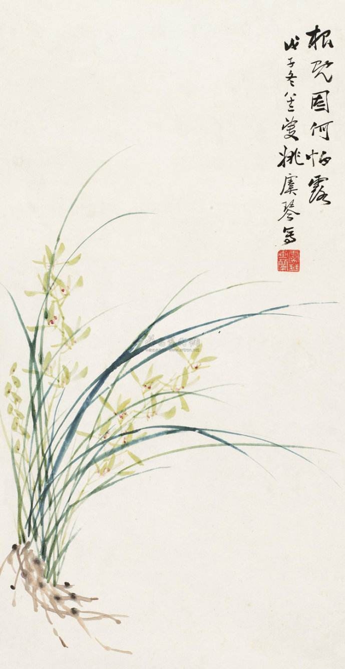 淡彩兰花100幅,顶级淡彩兰花图片