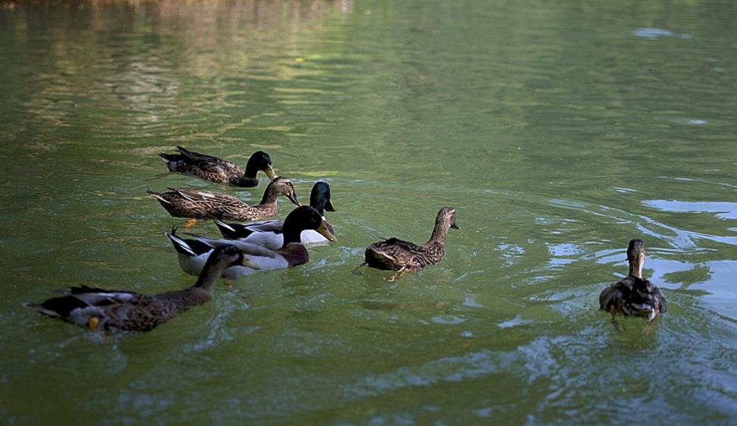 郑州大商城网红打卡,郑州北龙湖网红打卡圣地