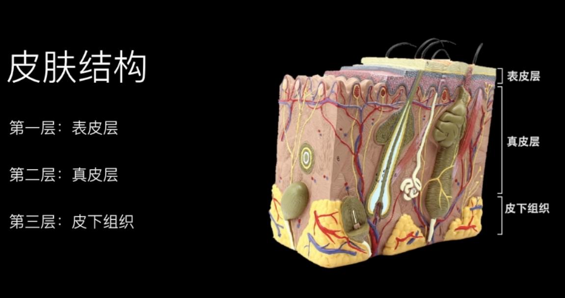 脚气脚臭脚痒的治疗方法小妙招,有脚臭脚痒裂口的脚气症状怎么治