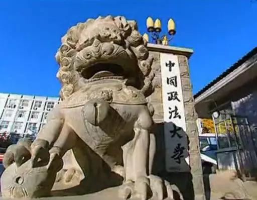 如何选择律师这个专业,如何选择专业律师