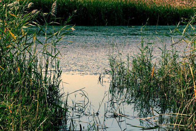 月亮湖的往事视频,月亮湖的往事全集