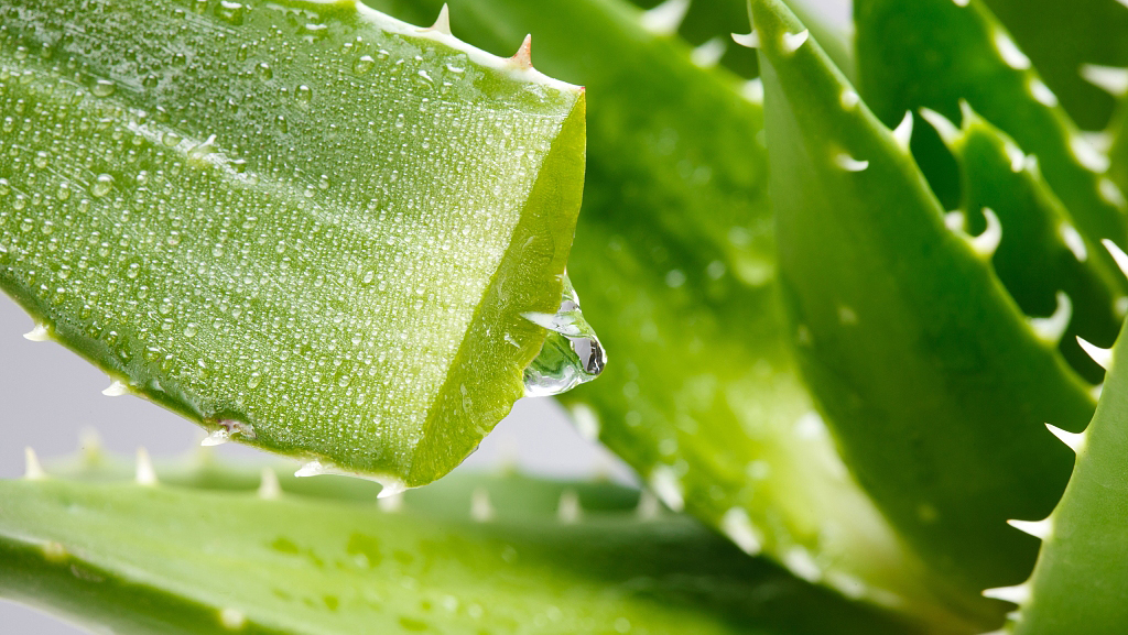 千手观音都不够“剁手”的产品，直播告诉你