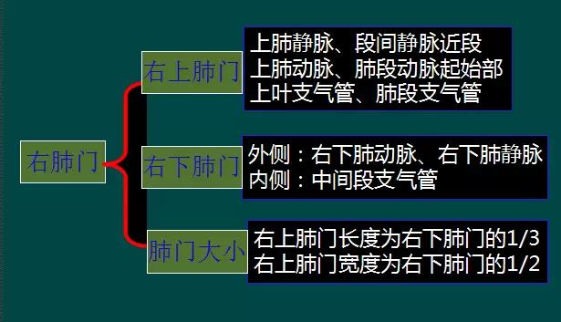 拿到胸片却不会看？送你7个窍门，手把手教你解读胸片（收藏）