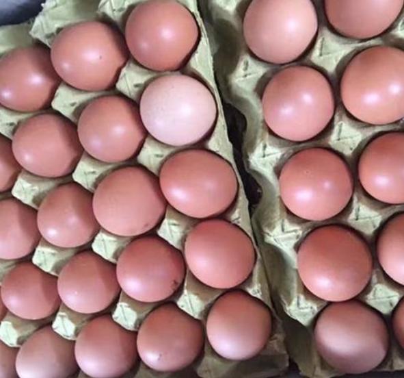 红皮鸡蛋和鹌鹑蛋“上榜”,被查出违禁兽药,生鲜超市受牵连