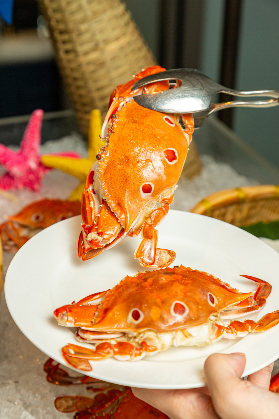 打卡佛山帆船度假酒店,佛山最顶级酒店打卡