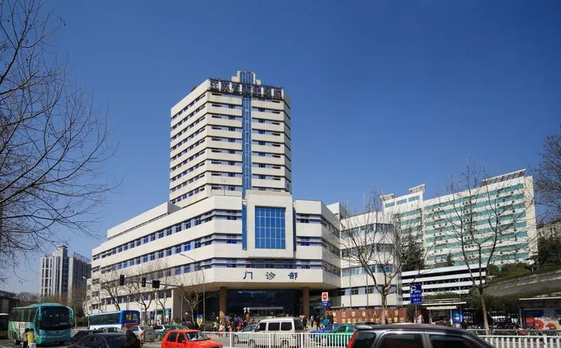 康复领域领军人物,康复医学八大康复方向