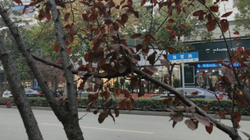 河南光山美好的回忆,光山怀旧小孩老物件