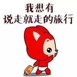 机场严查入境行李,上海浦东机场严查行李