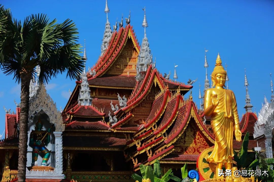 佛教的五树六花指的是什么,佛教五树六花是哪些植物