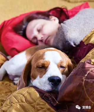 狗狗嗅陌生人的腿,狗狗为何喜欢嗅主人的尿