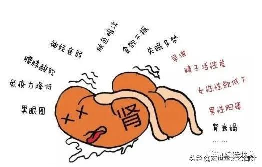 中医能治好慢性间质性肾炎吗,慢性肾炎看中医好还是看西医好呢