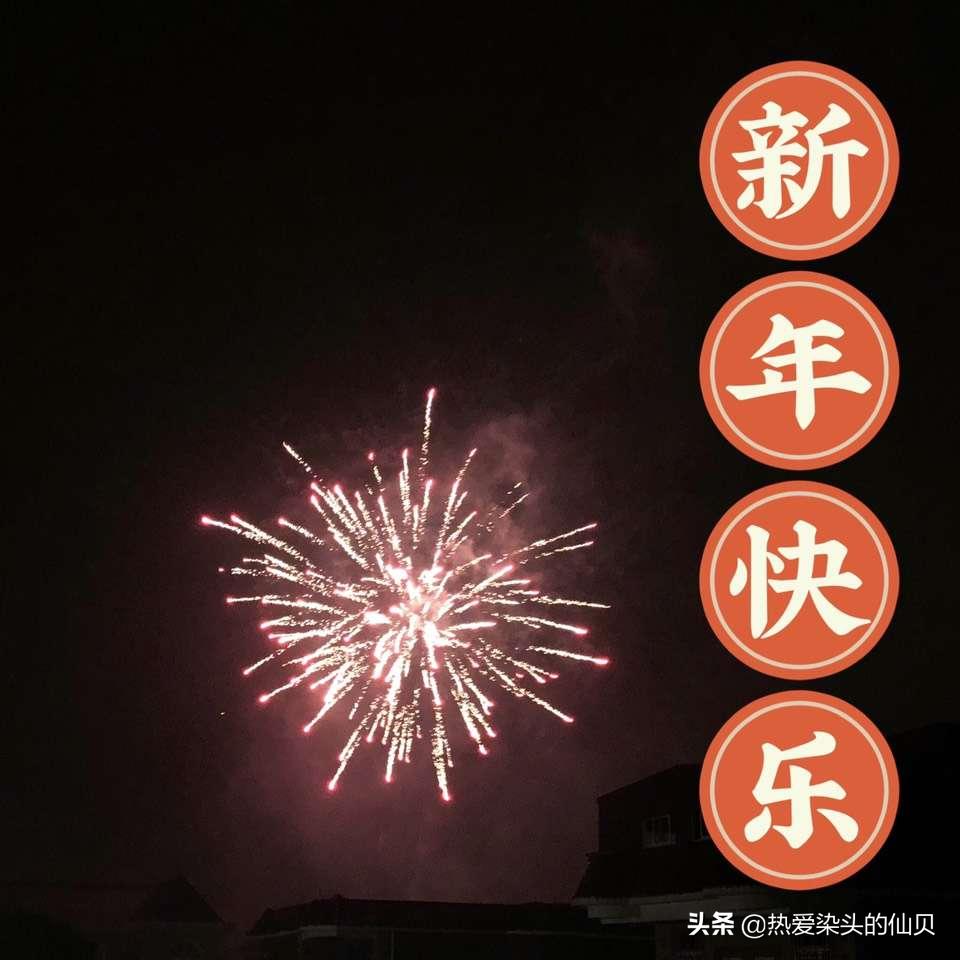 为什么有的狗狗不怕放炮,狗狗害怕放炮怎么办