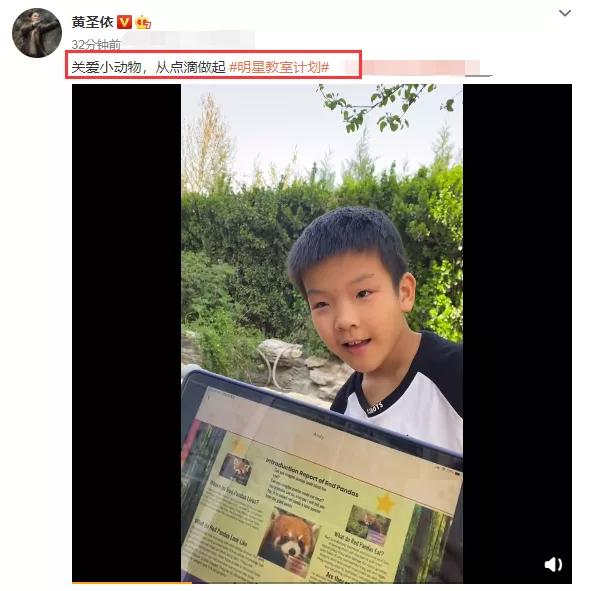 黄圣依教五岁小孩画思维导图,黄圣依思维导图教程