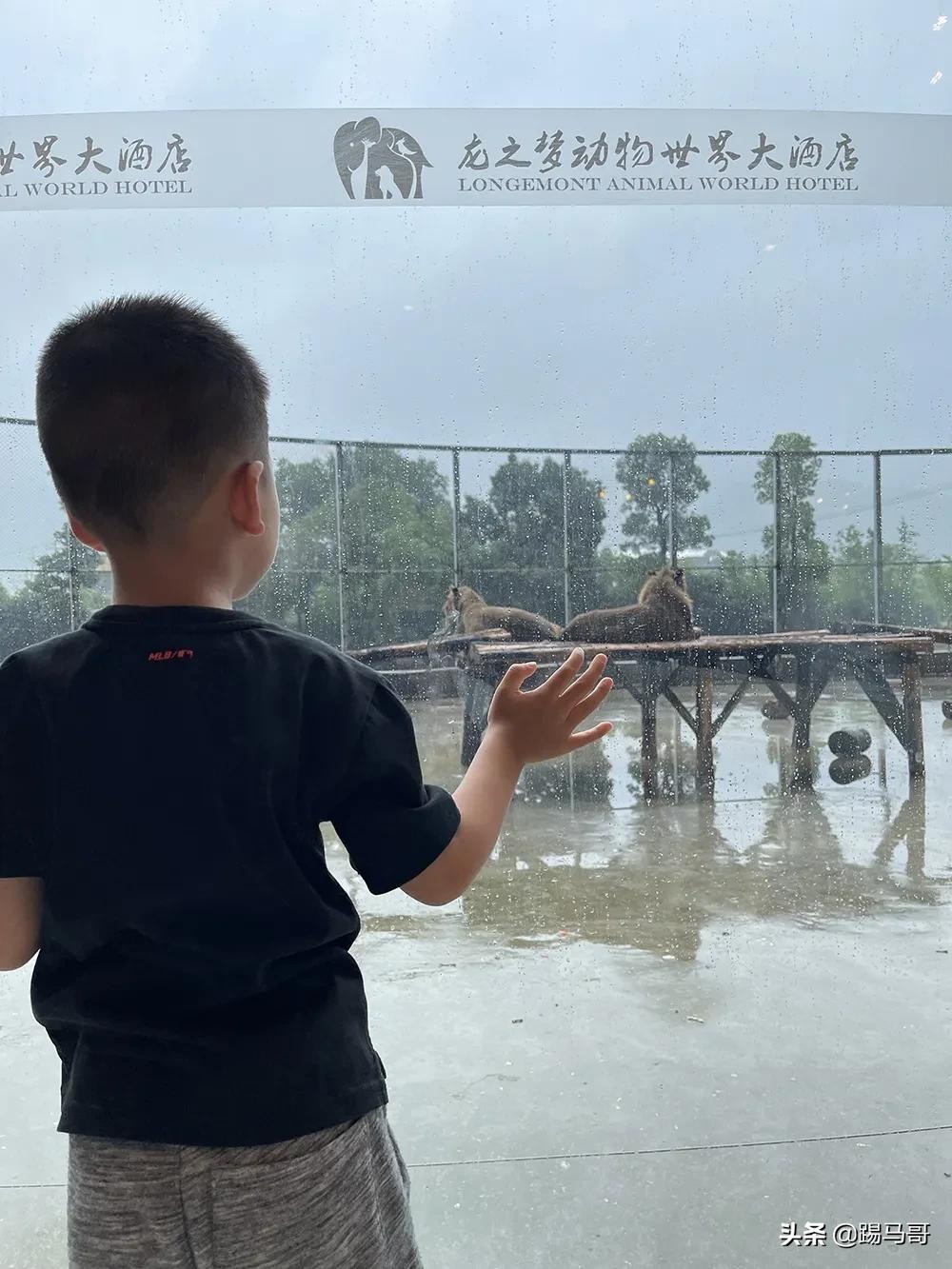 湖州龙之梦度假之旅,湖州龙之梦值得一去
