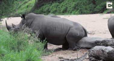 癌症晚期开始连续便血,经常咳嗽瘙痒便血就是癌症吗