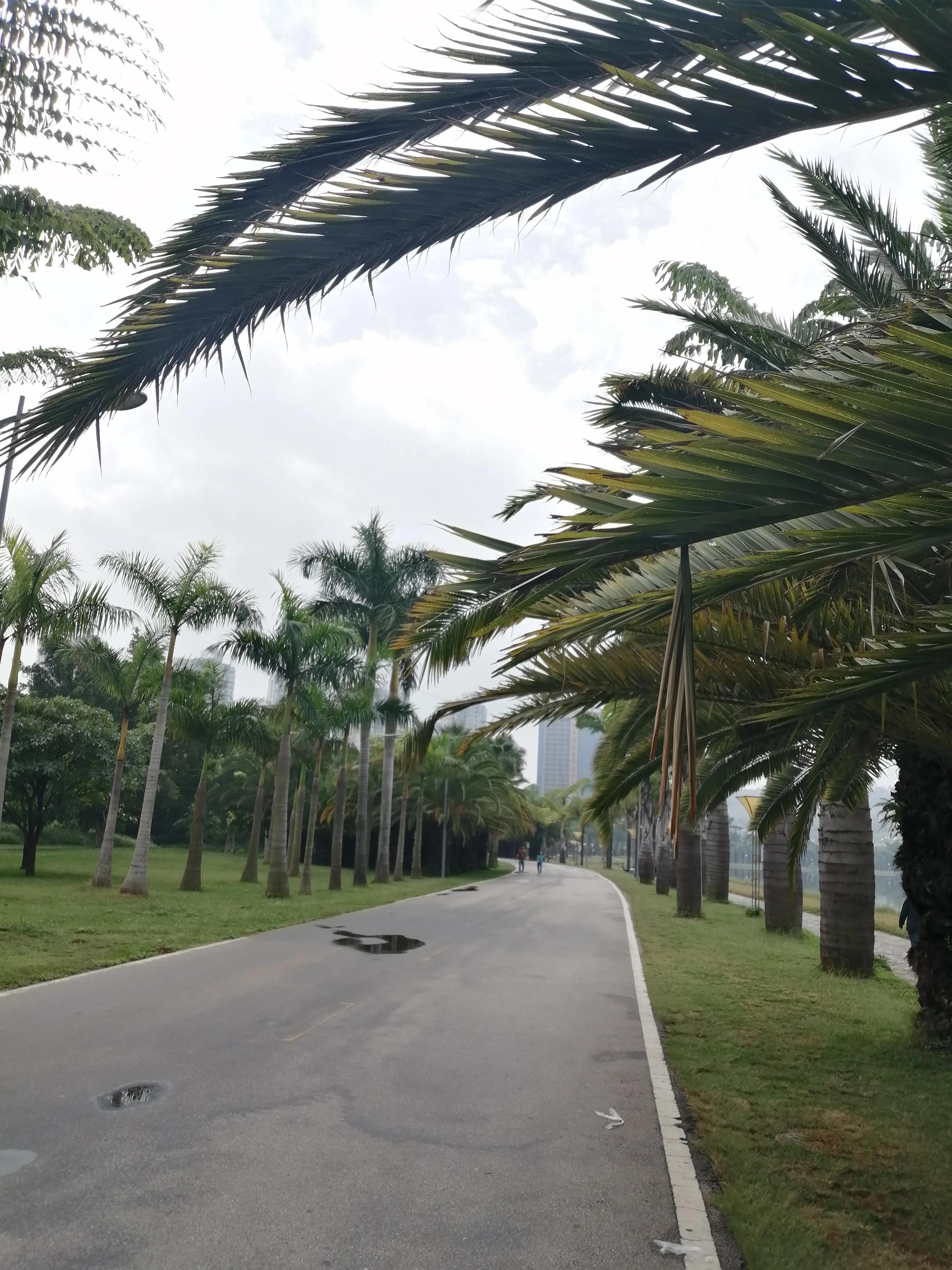 云南弥勒康养旅居包月,云南弥勒市60元包吃住宾馆酒店