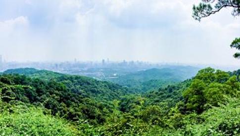 广州白云山攻略,广州白云山攻略一日游