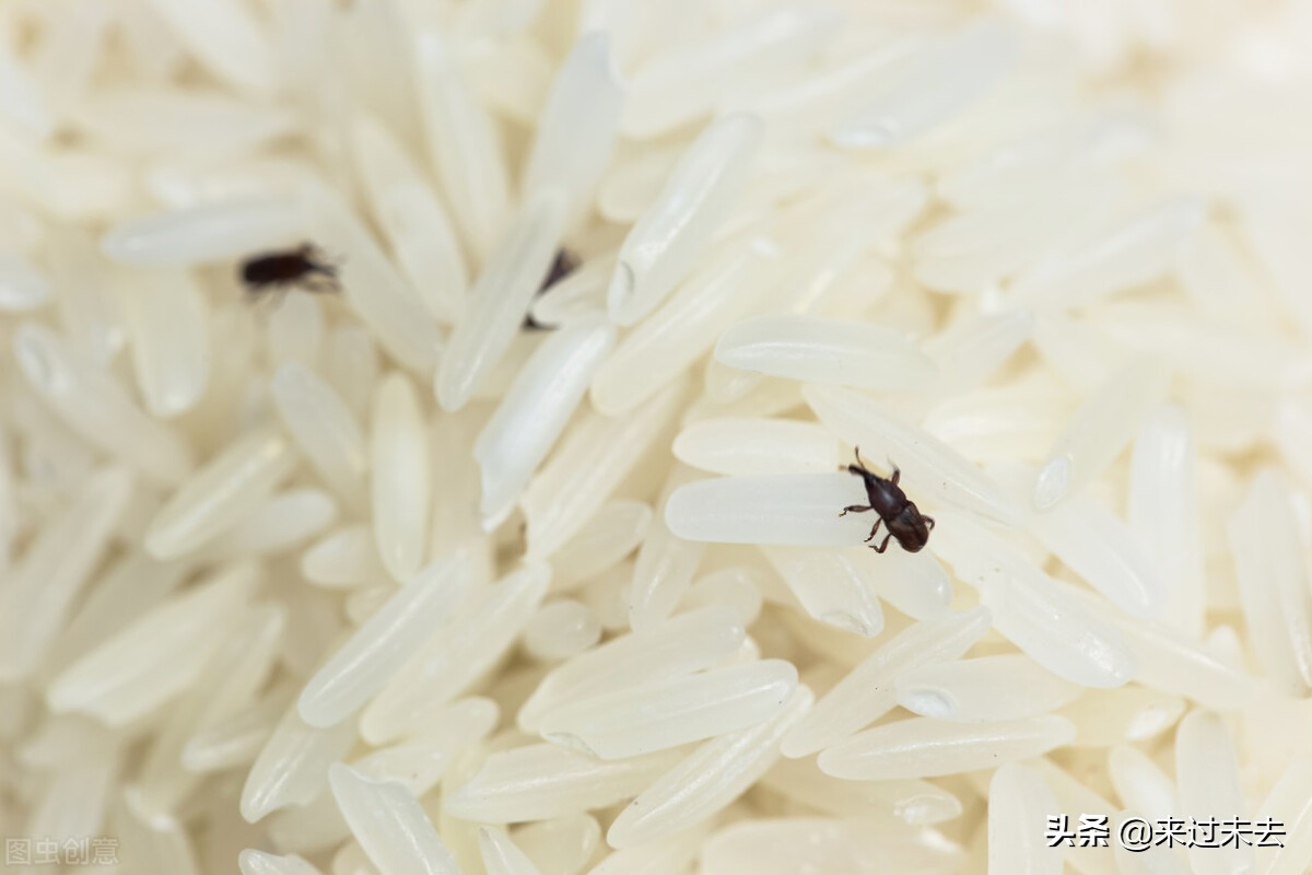 色香味俱全美食教程,色香味俱全的菜教程
