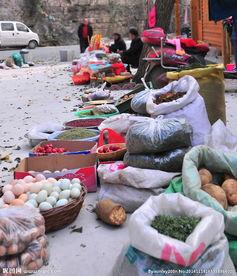 地摊卖什么最赚钱又不压货小吃,地摊卖什么最赚钱最快