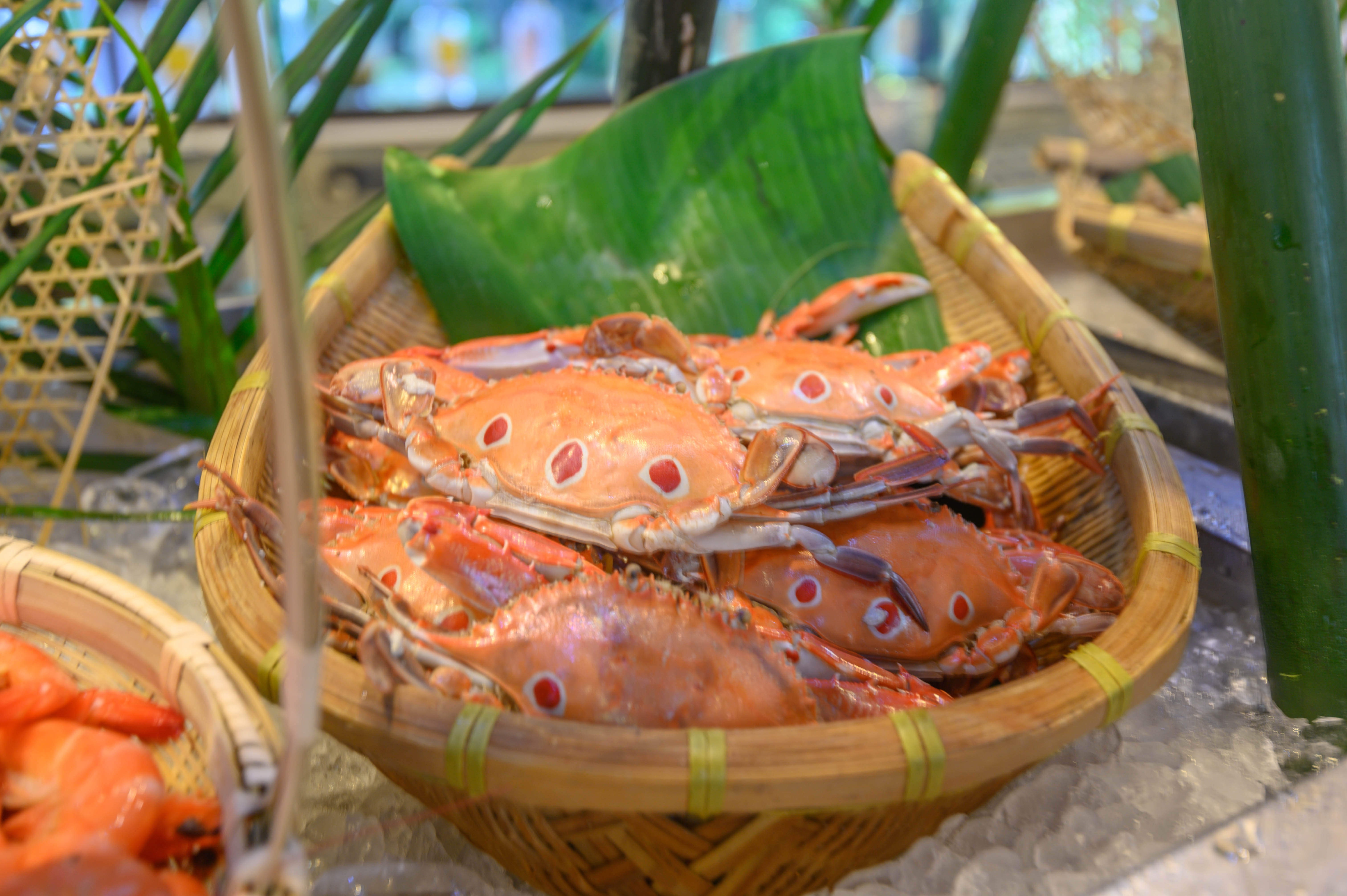 夏天的三亚海边有多热,三亚的夏天比广州和深圳都要凉快