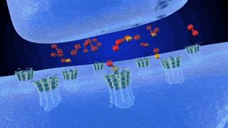 某网友问“戒烟之后，你真的快乐吗？”——细谈*草烟**的琐碎和戒烟