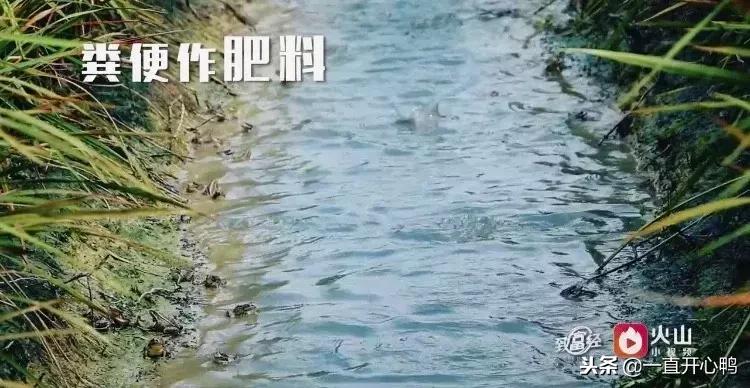 致富经节目现在怎么样了,致富经里的节目真实吗