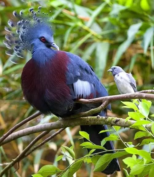 发现被别人偷拍照片,偷拍别人的照片是否违法