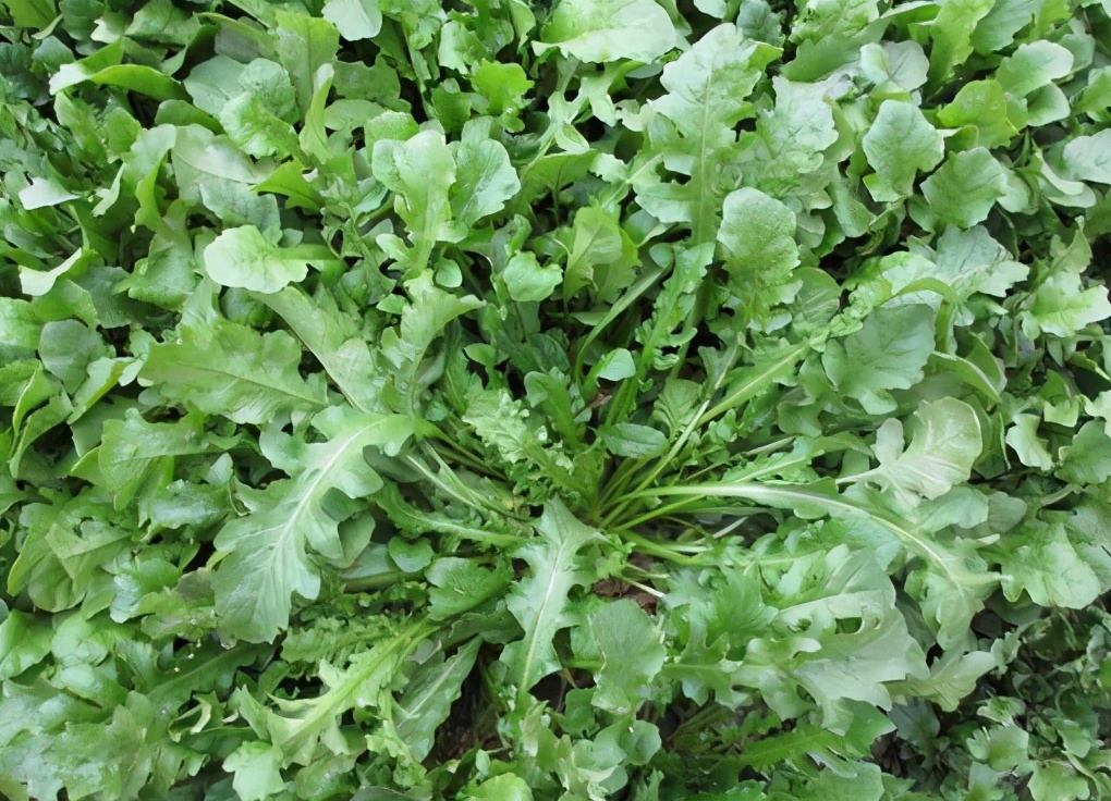 生病千万别吃它后果不堪设想,生病了千万别吃什么