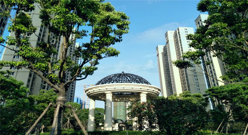 环东海域学区房目前值得入手吗,一夜之间暴涨的房子