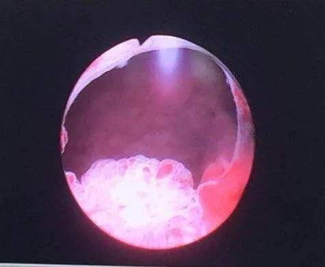 名医札记(三十三)名医引领从北国冰城到西南重镇