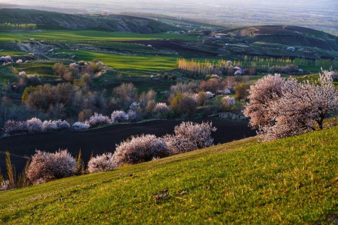 伊犁最美的50处绝色美景,伊犁最美的小众景点